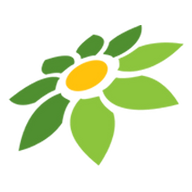 CARA TOKOPEDIA PAYLATER